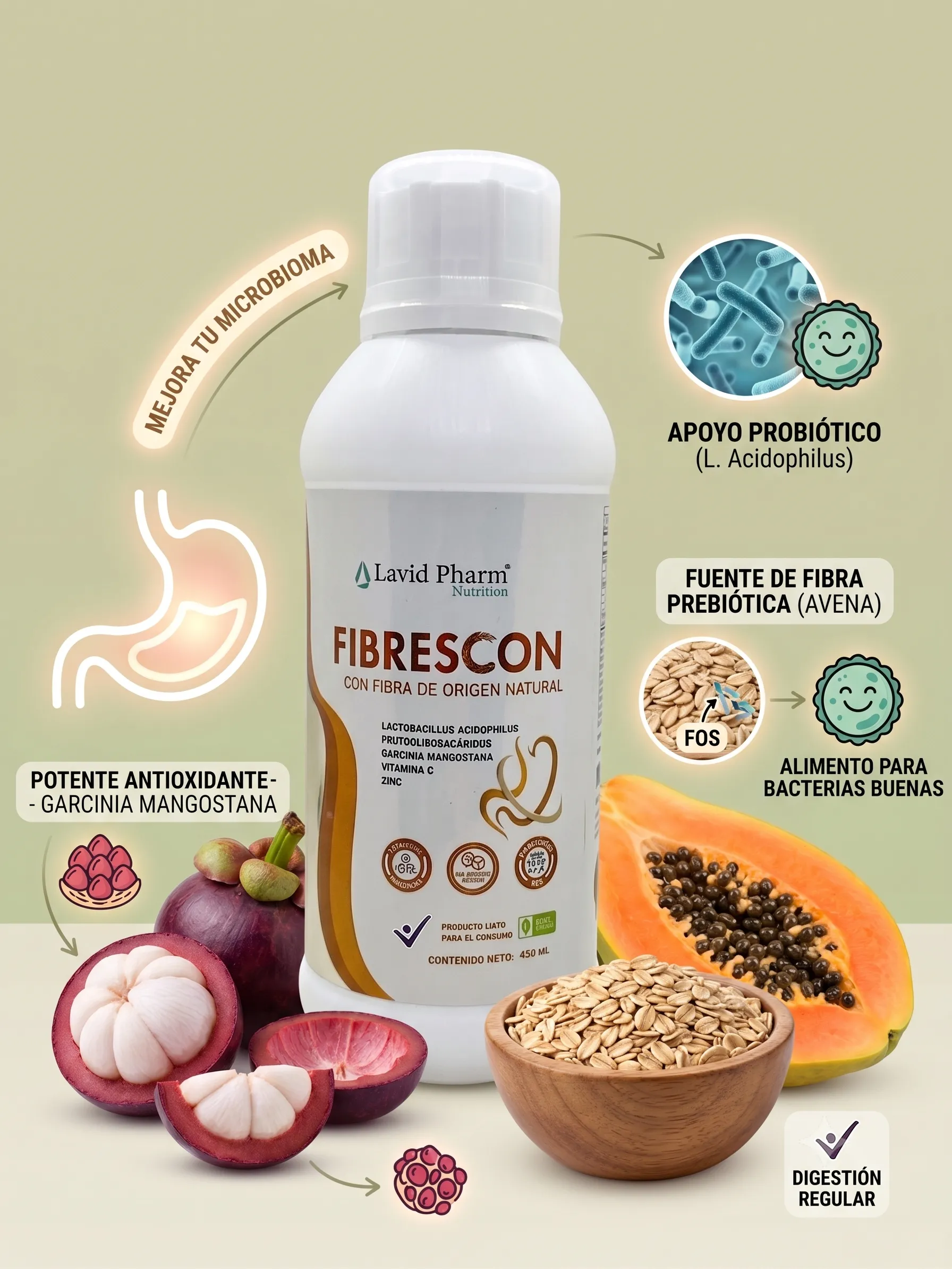 Fibrescon Fibra Líquida con Probióticos y Extractos Naturales – 430 mL - Imagen 3